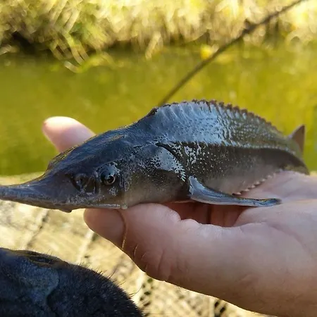 Sadky Ferienpark Lety